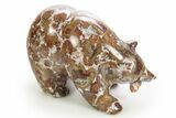 Realistic, Polished Colorful Jasper/Agate Bear with Fish - India #308458-1